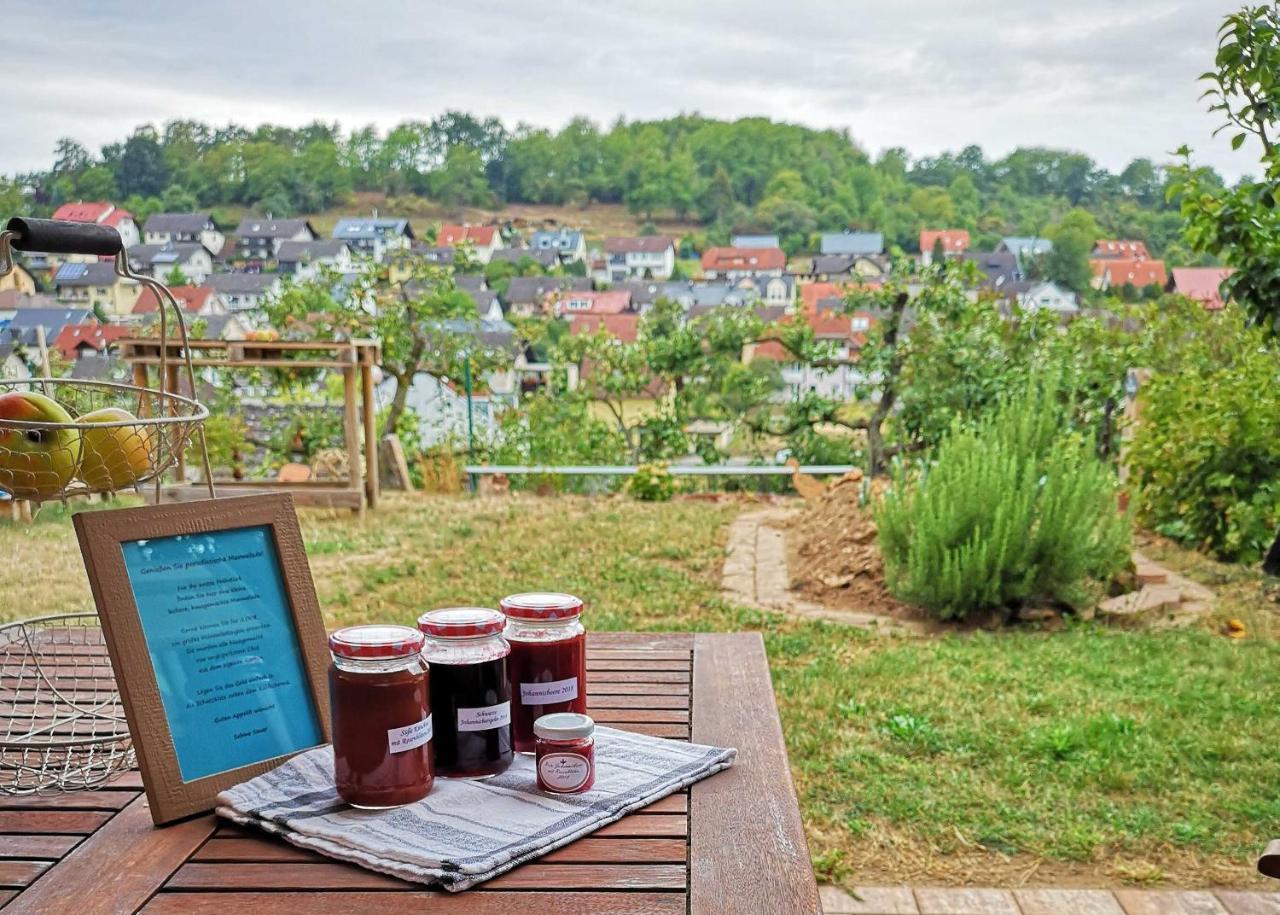 Ferienwohnung Im Paradies Momlingen ภายนอก รูปภาพ